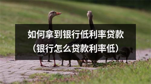 如何拿到银行低利率贷款（银行怎么贷款利率低）