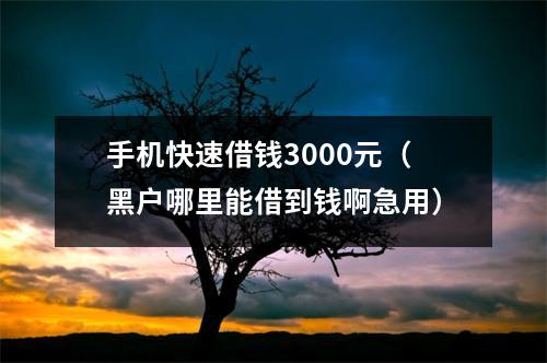 手机快速借钱3000元(黑户哪里能借到钱啊急用)