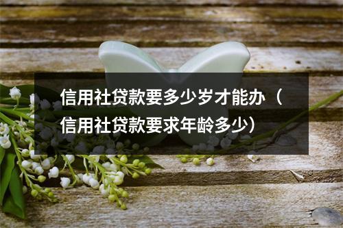 信用社贷款要多少岁才能办（信用社贷款要求年龄多少）