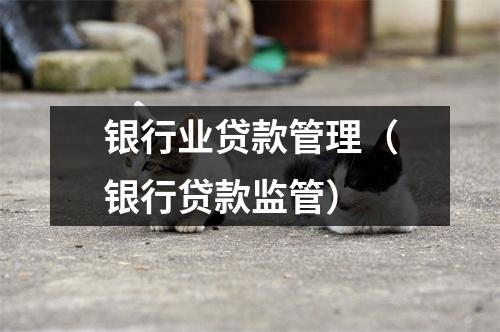 银行业贷款管理（银行贷款监管）