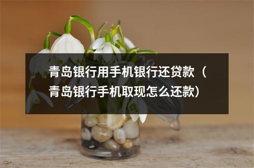 青岛银行用手机银行还贷款（青岛银行手机取现怎么还款）
