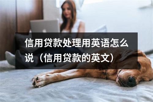 信用贷款处理用英语怎么说（信用贷款的英文）