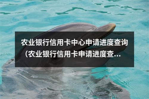 农业银行信用卡中心申请进度查询(农业银行信用卡申请进度查询代码怎么查)