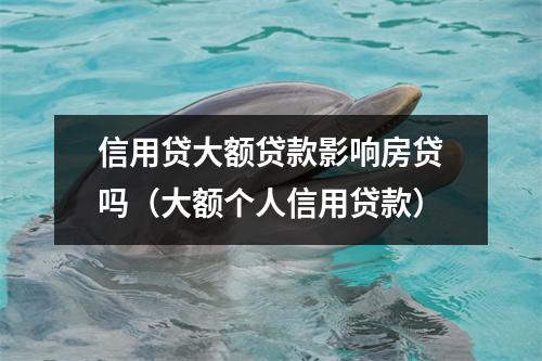 信用贷大额贷款影响房贷吗（大额个人信用贷款）