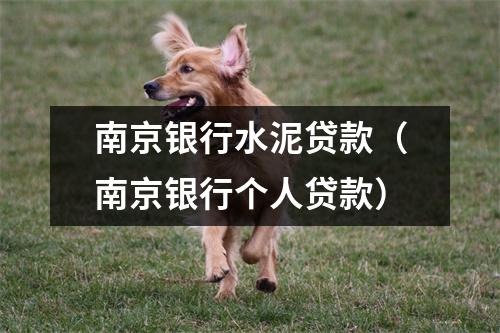 南京银行水泥贷款（南京银行个人贷款）