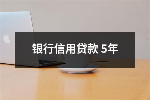 银行信用贷款 5年