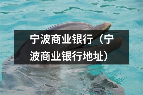 宁波商业银行（宁波商业银行地址）
