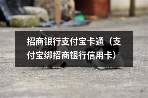 招商银行支付宝卡通(支付宝绑招商银行信用卡)
