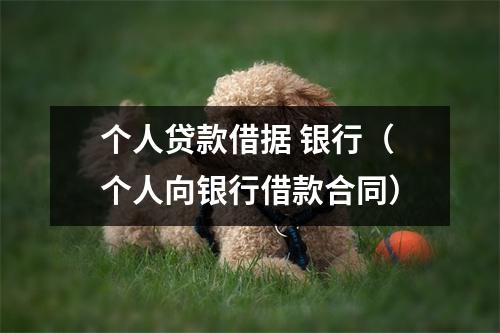 个人贷款借据 银行（个人向银行借款合同）