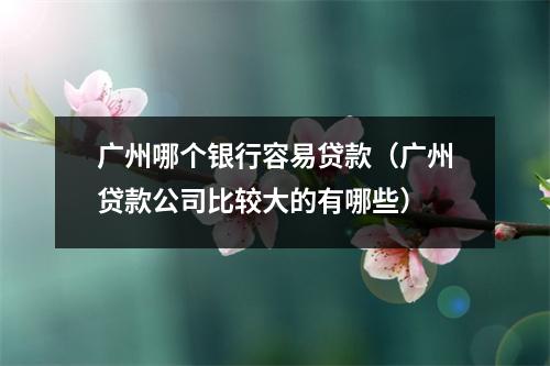 广州哪个银行容易贷款（广州贷款公司比较大的有哪些）