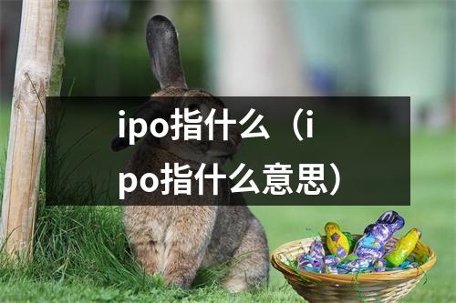 ipo指什么（ipo指什么意思）