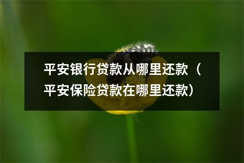 平安银行贷款从哪里还款（平安保险贷款在哪里还款）