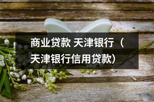 商业贷款 天津银行(天津银行信用贷款)