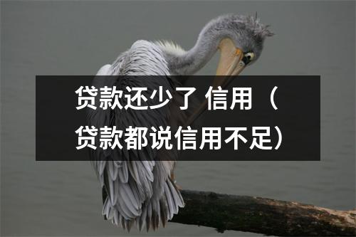 贷款还少了 信用（贷款都说信用不足）