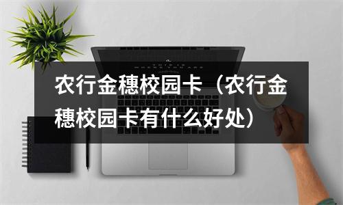 农行金穗校园卡（农行金穗校园卡有什么好处）