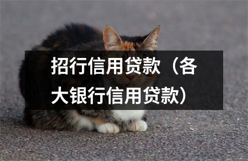 招行信用贷款（各大银行信用贷款）
