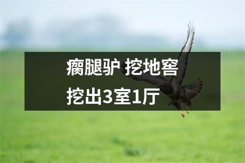 瘸腿驴 挖地窖挖出3室1厅