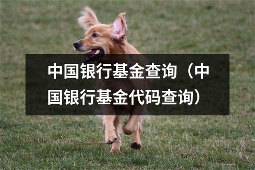 中国银行基金查询（中国银行基金代码查询）