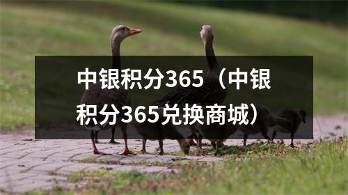 中银积分365（中银积分365兑换商城）