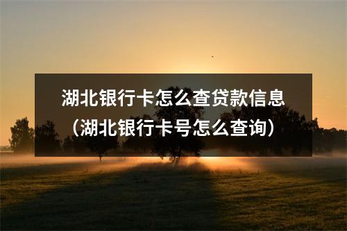 湖北银行卡怎么查贷款信息（湖北银行卡号怎么查询）