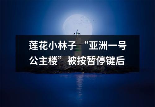 莲花小林子 “亚洲一号公主楼”被按暂停键后
