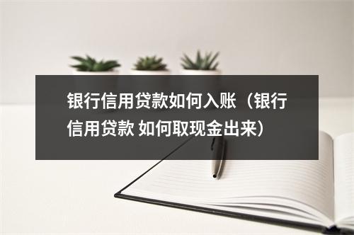 银行信用贷款如何入账（银行信用贷款 如何取现金出来）
