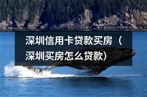 深圳信用卡贷款买房（深圳买房怎么贷款）