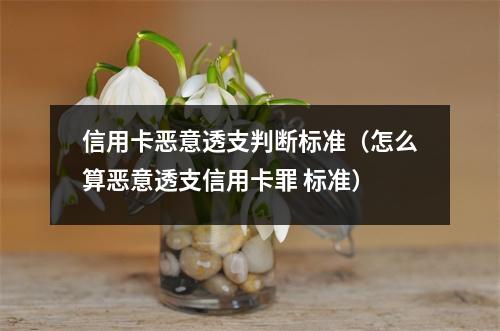 信用卡恶意透支判断标准（怎么算恶意透支信用卡罪 标准）