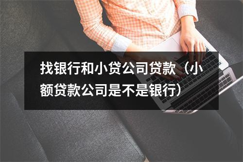 找银行和小贷公司贷款（小额贷款公司是不是银行）