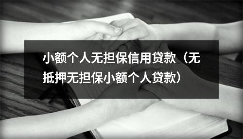 小额个人无担保信用贷款（无抵押无担保小额个人贷款）