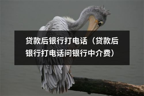 贷款后银行打电话(贷款后银行打电话问银行中介费)