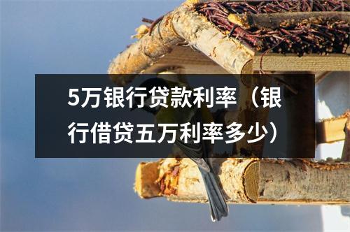 5万银行贷款利率（银行借贷五万利率多少）