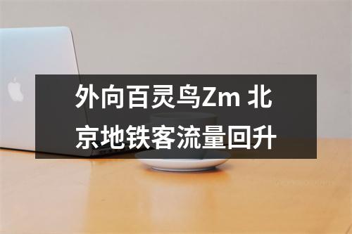 外向百灵鸟Zm 北京地铁客流量回升