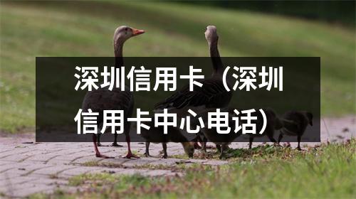 深圳信用卡（深圳信用卡中心电话）