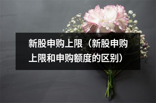 新股申购上限（新股申购上限和申购额度的区别）