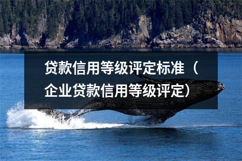 贷款信用等级评定标准（企业贷款信用等级评定）
