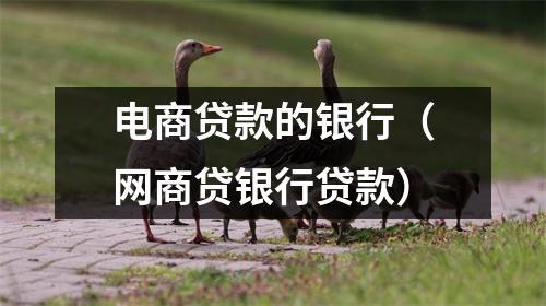 电商贷款的银行（网商贷银行贷款）