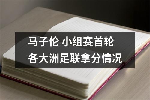马子伦 小组赛首轮各大洲足联拿分情况