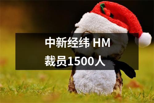 中新经纬 HM裁员1500人