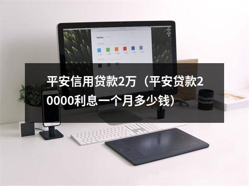 平安信用贷款2万（平安贷款20000利息一个月多少钱）