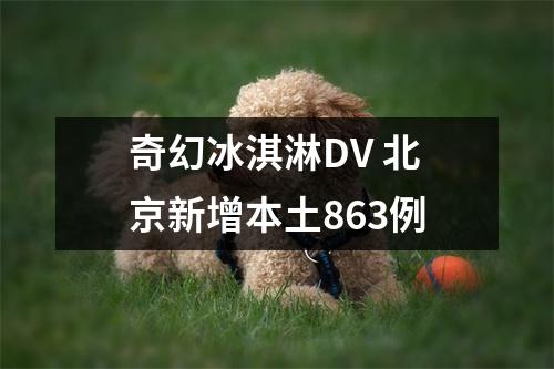 奇幻冰淇淋DV 北京新增本土863例