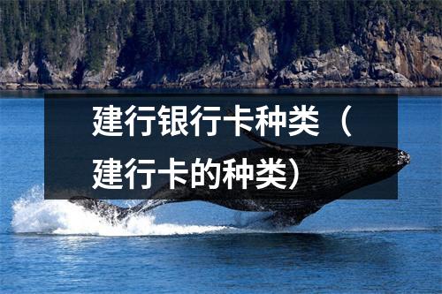 建行银行卡种类（建行卡的种类）