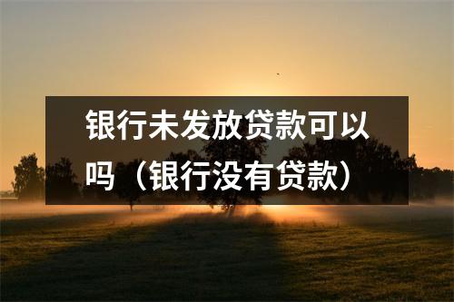 银行未发放贷款可以吗(银行没有贷款)