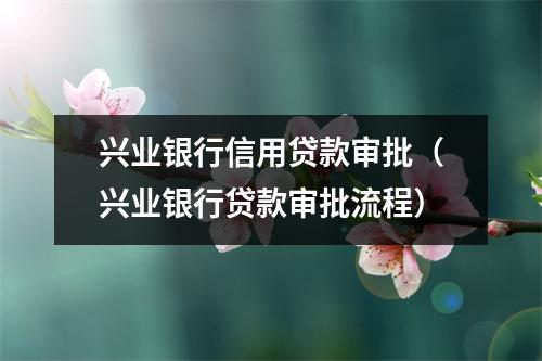 兴业银行信用贷款审批（兴业银行贷款审批流程）