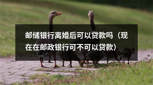 邮储银行离婚后可以贷款吗（现在在邮政银行可不可以贷款）