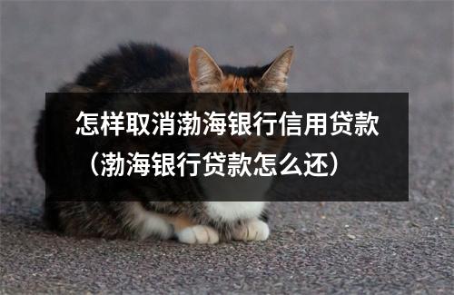 怎样取消渤海银行信用贷款（渤海银行贷款怎么还）
