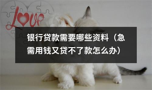银行贷款需要哪些资料（急需用钱又贷不了款怎么办）