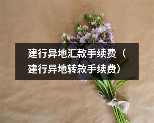 建行异地汇款手续费（建行异地转款手续费）