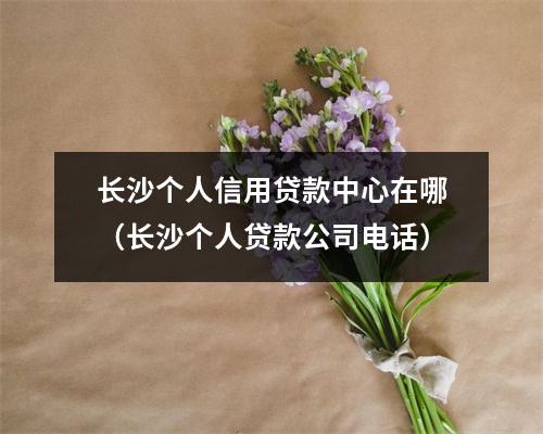 长沙个人信用贷款中心在哪(长沙个人贷款公司电话)