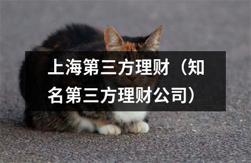 上海第三方理财(知名第三方理财公司)